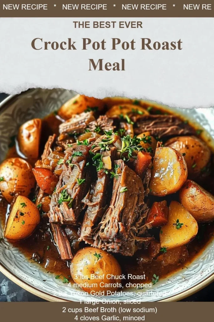 Delicious Crock Pot pot roast meal served with vegetables