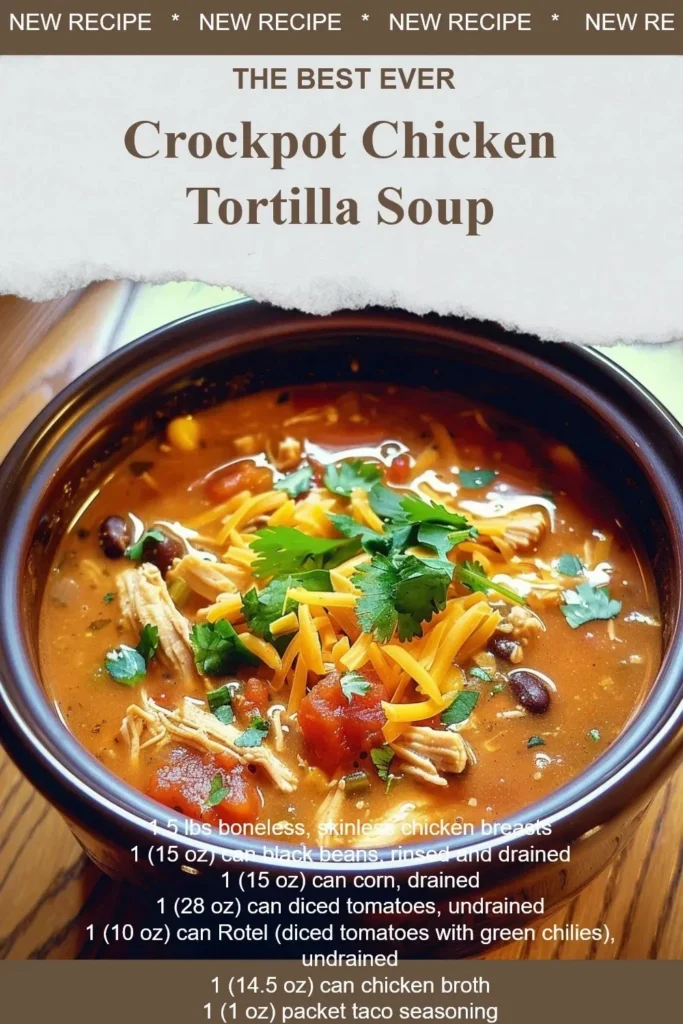 Crockpot Chicken Tortilla Soup served in a bowl with tortilla strips and toppings