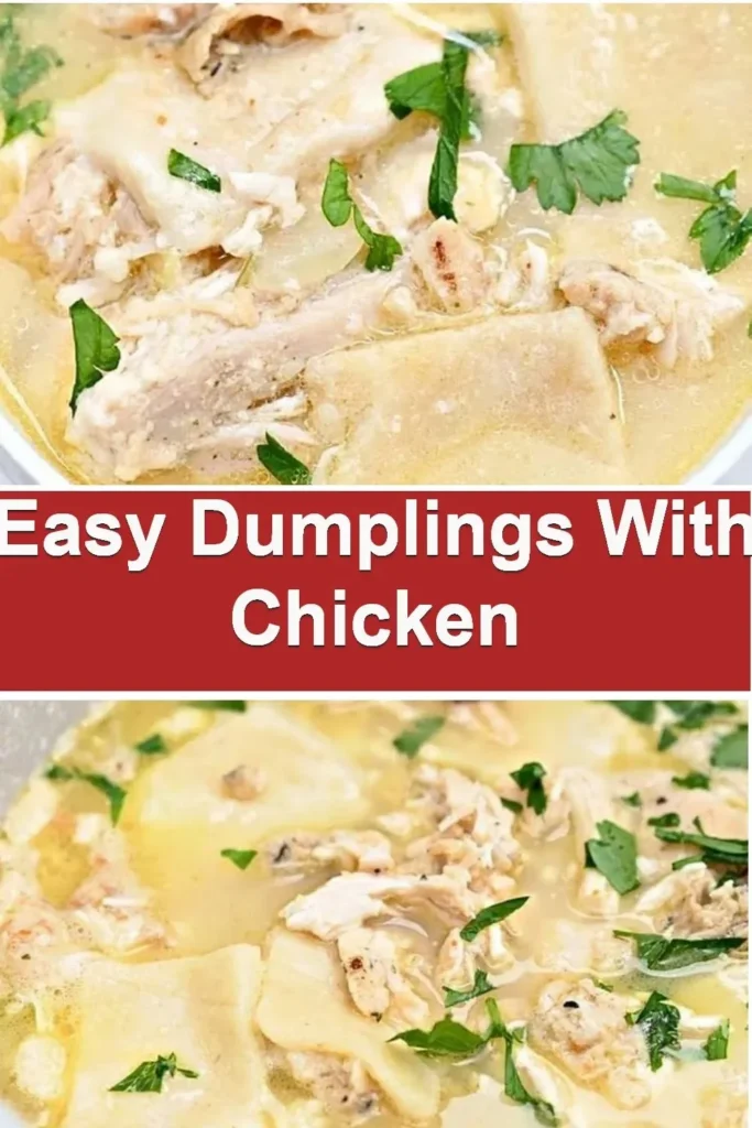 Homemade chicken dumplings ready to be served in a bowl